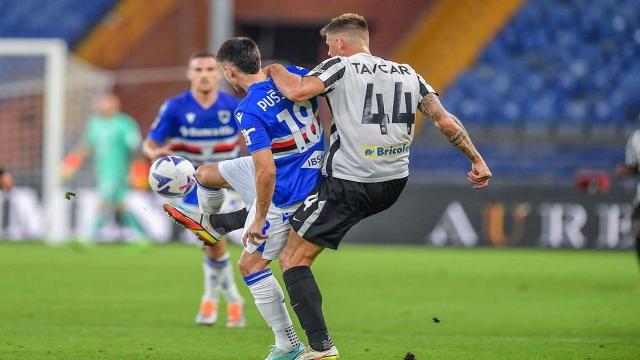 Ascoli Calcio Prosegue Il Percorso Di Crescita Di Tavcar Tre Presenze